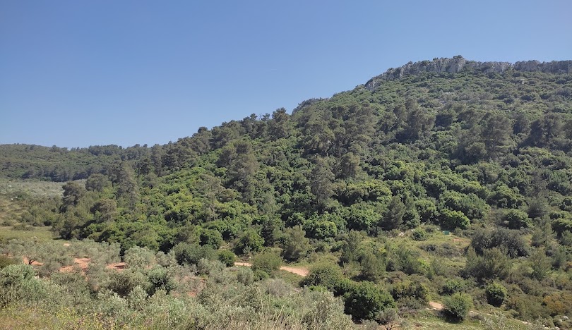  | موسوعة القرى الفلسطينية